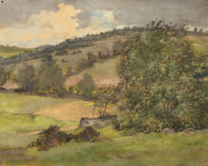 Sommerliche Landschaft