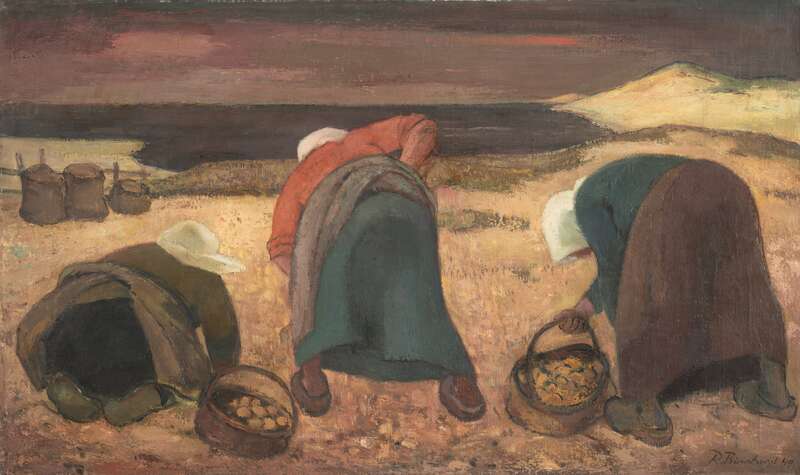 Frauen beim Kartoffelgraben