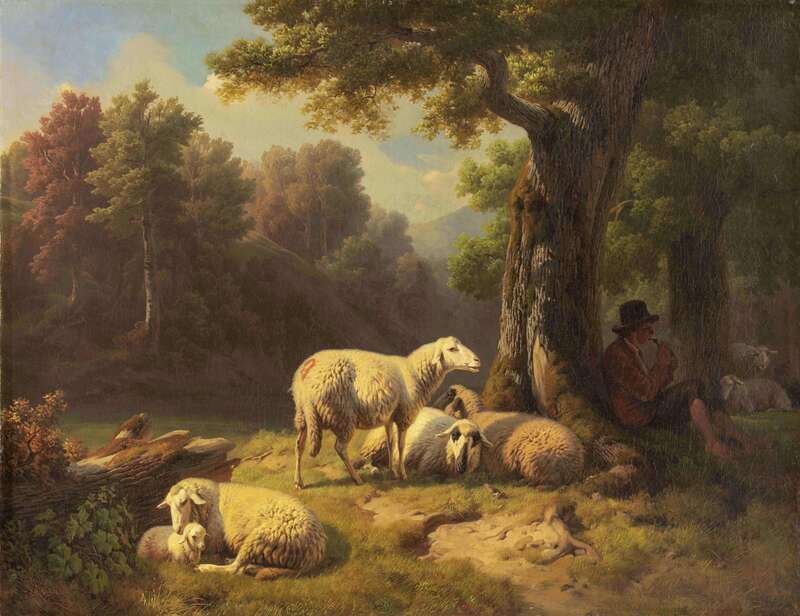 Schafe im Walde