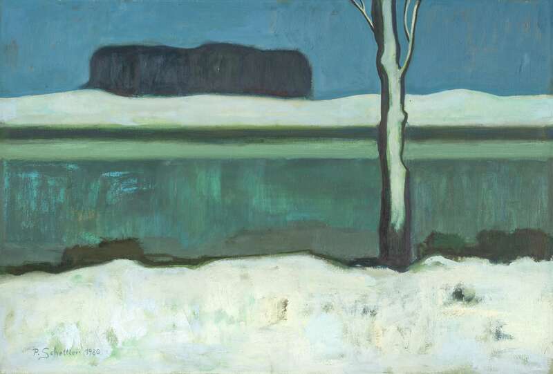 Teichlandschaft im Winter