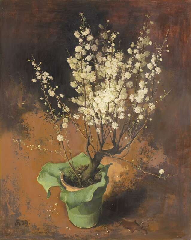 Flowering Shrub in a Flower Pot