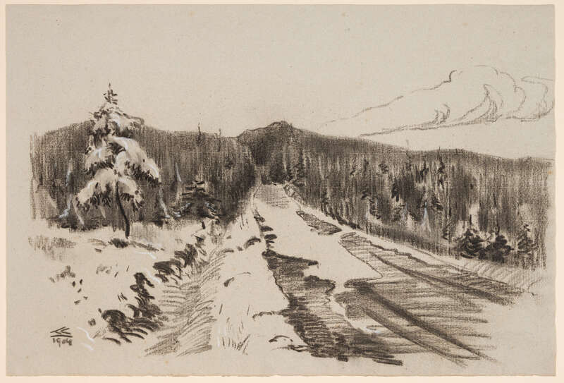 Forstweg mit verschneiten Tannen