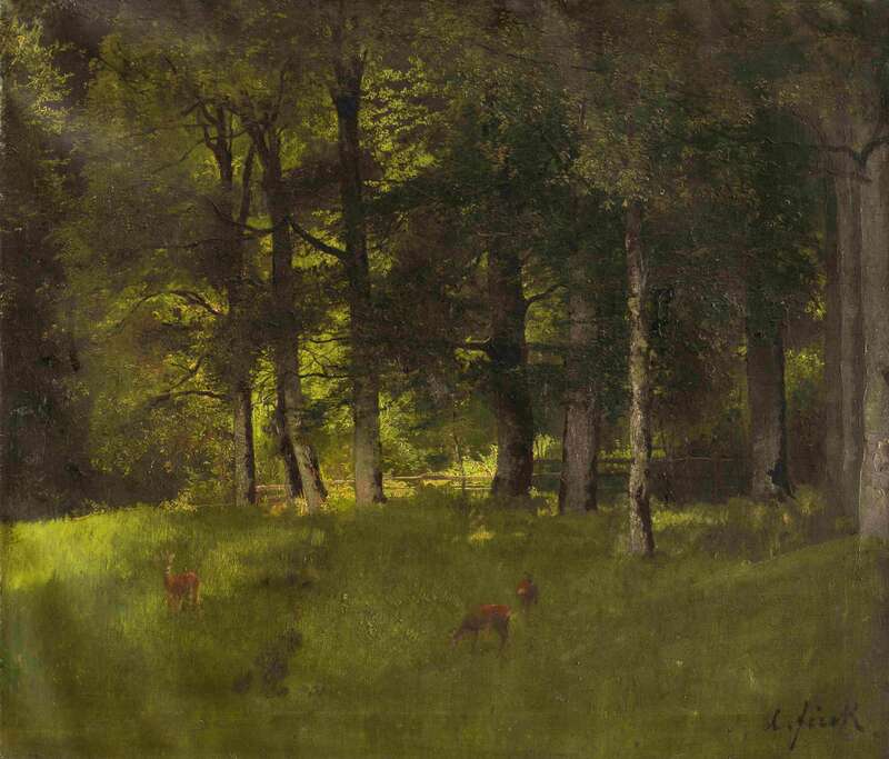 Forest interior with Roe deers