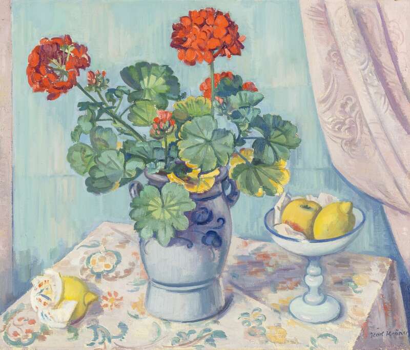 Still life with pelargoniums