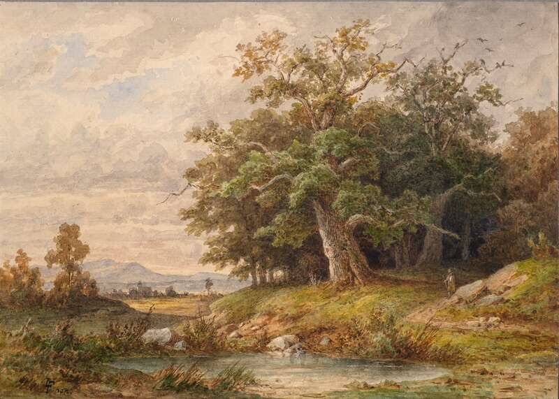 Oak trees at a Pond