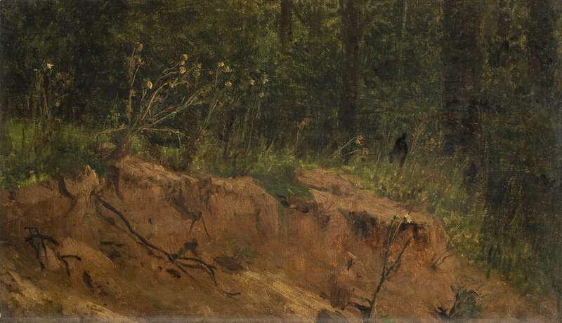 Forest interior with thistles