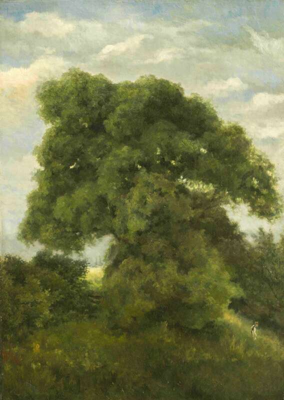 Oak in the Taunus