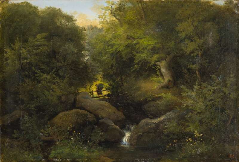 Forest Landscape with Footbridge and Person and Forest Creek
