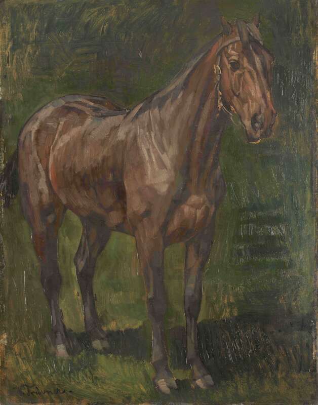 Horse in the green