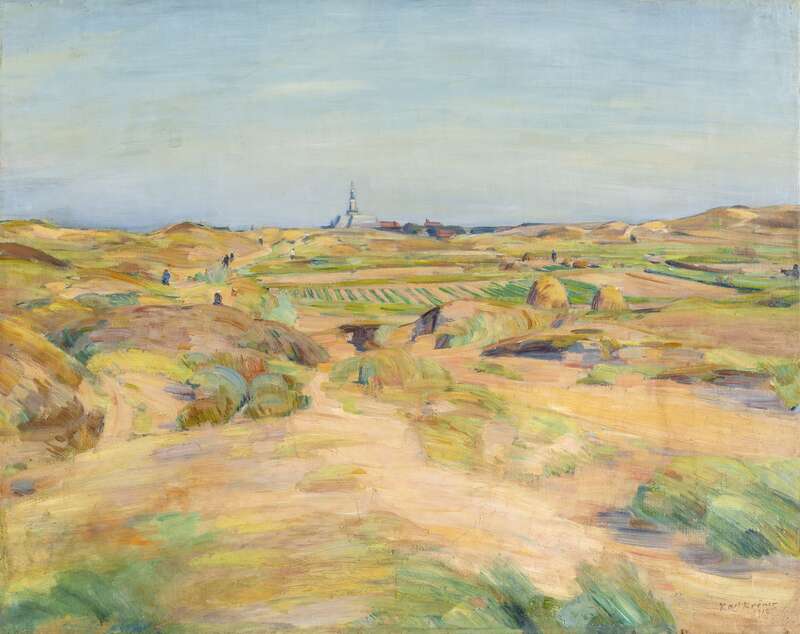 Fields in the dunes of Katwyck