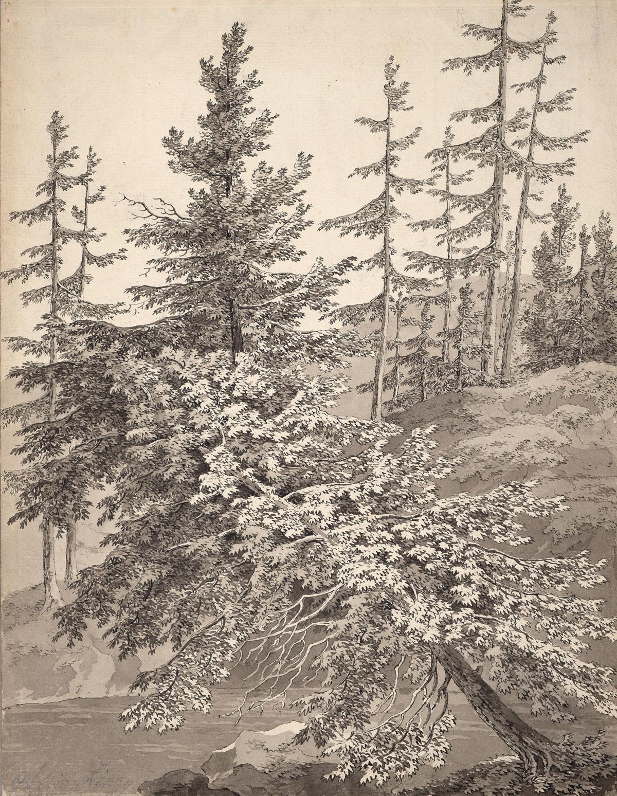 Picture of the art object