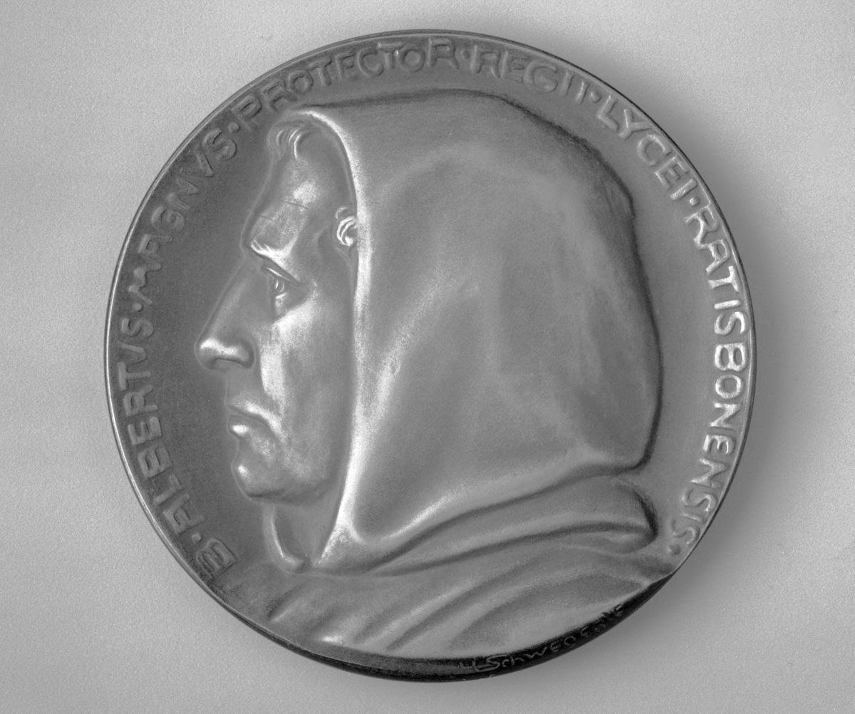 Picture of the art object