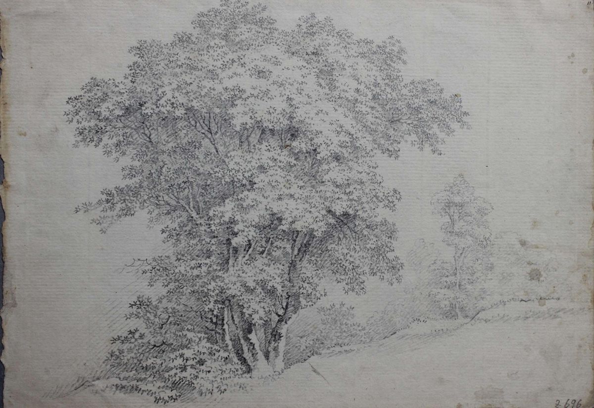 Picture of the art object