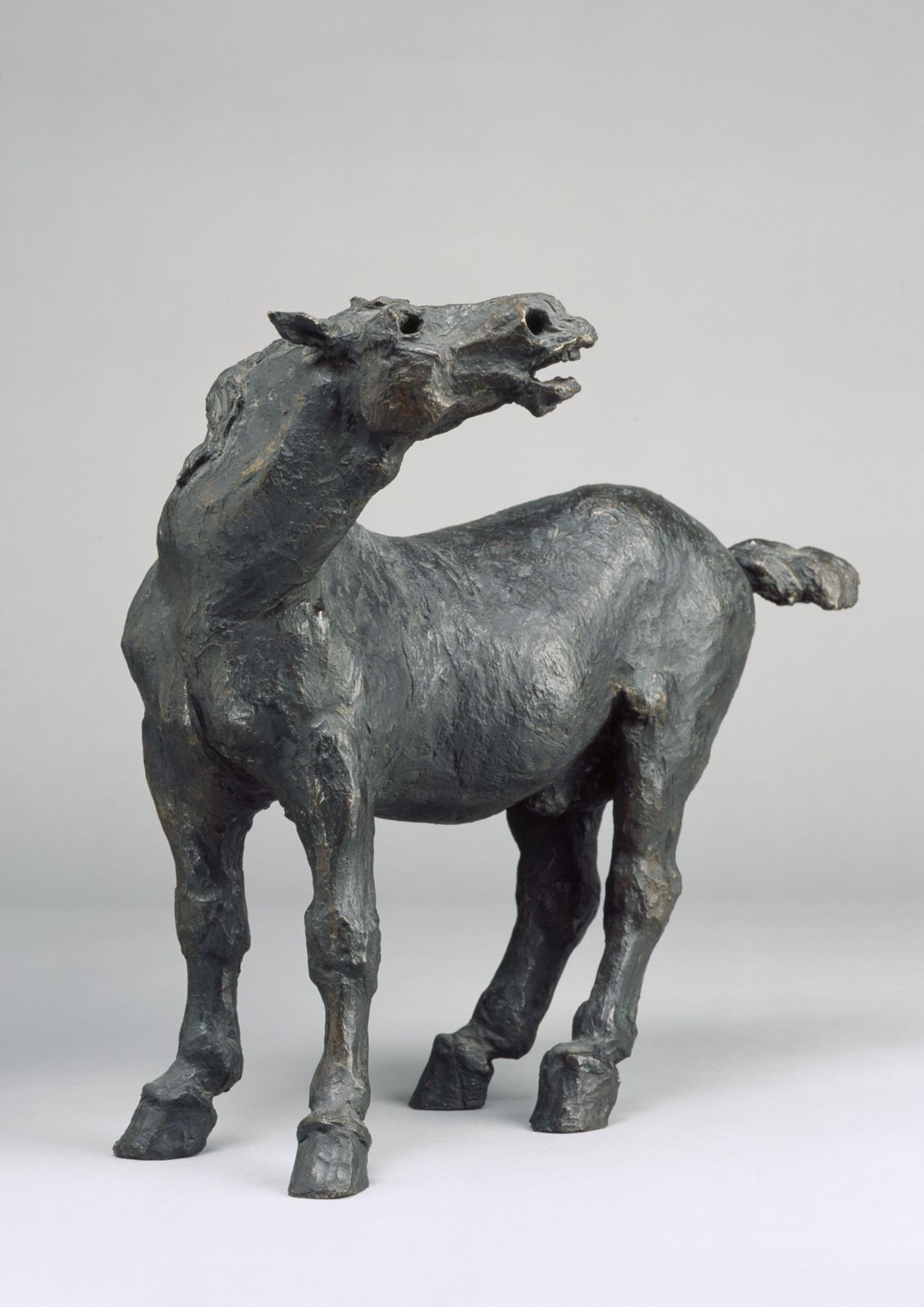 Picture of the art object